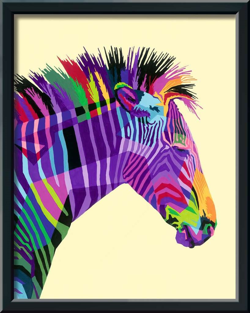 Schilderen op nummer Serie Bonte zebra