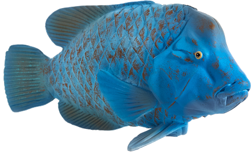 Mojo Sealife speelgoed Blauwe Groper - 387356