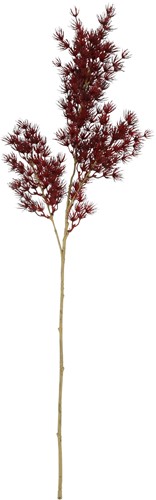 Countryfield Kunstbloem Asparagus S bordeaux 73cm