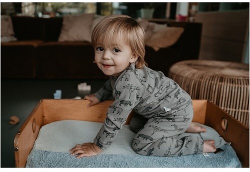 leerboek calcium Toezicht houden Snoozebaby Organische Pyjama Safari Grey - maat 86-92 kopen?